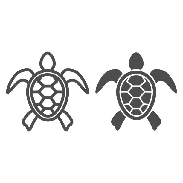 Turtle Outline Tattoo Silhouette Illustrations, Royalty-Free Vector  Graphics & Clip Art - iStock