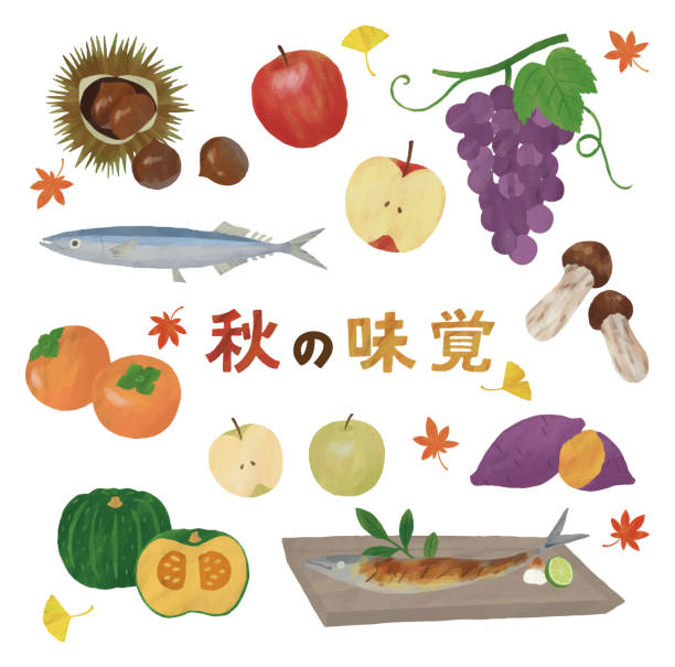 秋の味覚 イラスト素材 秋 食べ物 栗 さんま Istock 秋の味覚 イラスト素材 秋 食べ物 栗 さんま Istock