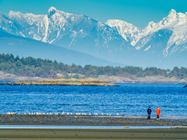 View of the Strait of Georgia and the coastal mountains from Vancouver Island, British Columbia