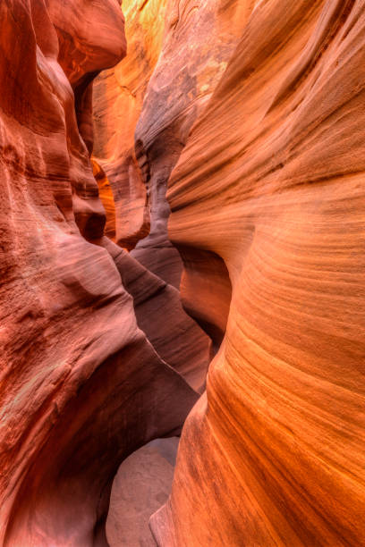 Swirling Striations in Peekaboo Slot Swirling striations in Peekabook Slot Canyon off the Dry Fork of Coyote Gulch in Grand Staircase-Escalante National Monument, Utah grand staircase escalante national monument stock pictures, royalty-free photos & images