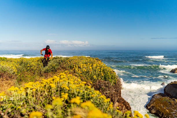istock Mountain biker rides along grassy coastline 1245707132