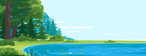 Place for fishing on lake nature landscape Scenic fishing place on lake nature landscape, quiet scenic place for outdoor recreation, place for camping on the lake bank, small blue lake with bulrush plants and white water lilies near the forest riverbank stock illustrations