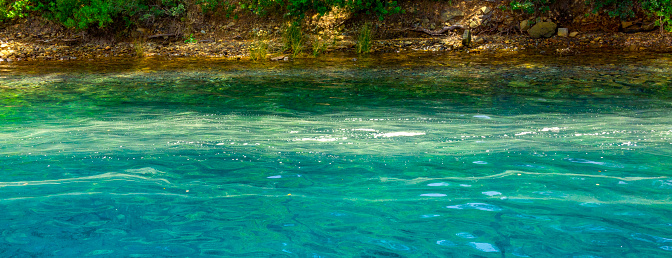 Pollen gathering on the sea in Gokova Bay, Turkey