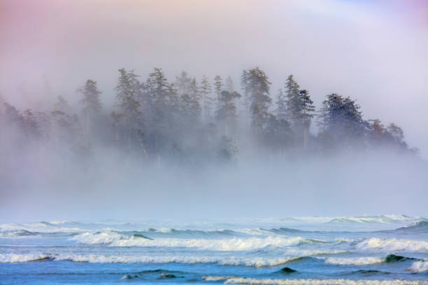 Shoreline of Pacific Rim National Park on Vancouver Island, British Columbia