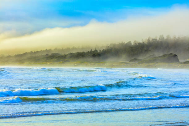 Shoreline of Pacific Rim National Park on Vancouver Island, British Columbia