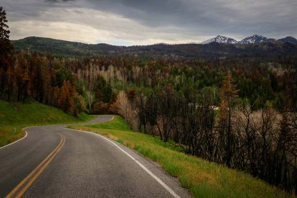 istock Windy Road Mountain Range Autumn Leaves Landscape 1245759208