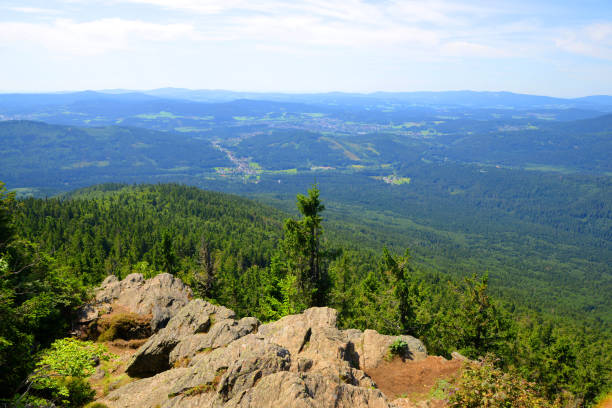 istock National park Bayerische Wald, Germany. 1245763909