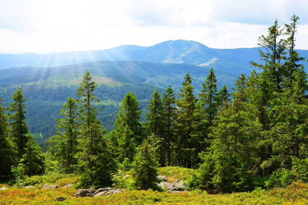 View from the top of mountain Zwercheck on the mount Grosser Arber in the National park Bayerischer Wald. Germany.