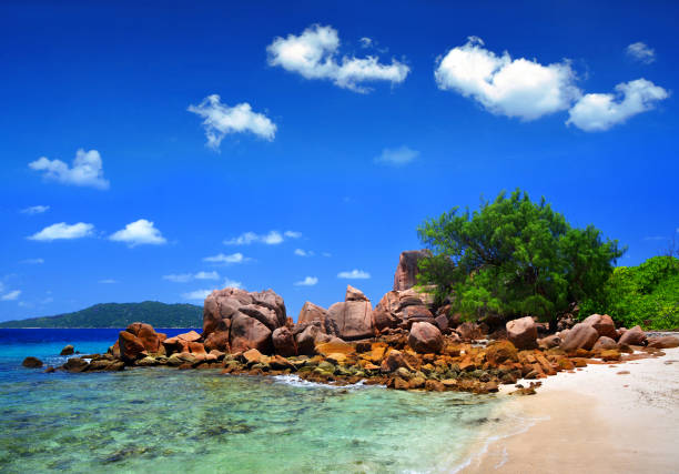 istock Anse Caiman beach in La Digue Island, Seyshelles. 1245770020