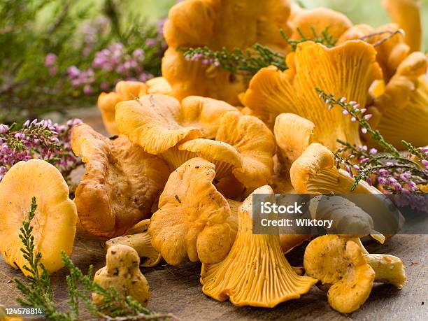 Seta Chanterelle Foto de stock y más banco de imágenes de Aire libre - Aire libre, Alimento, Amarillo - Color