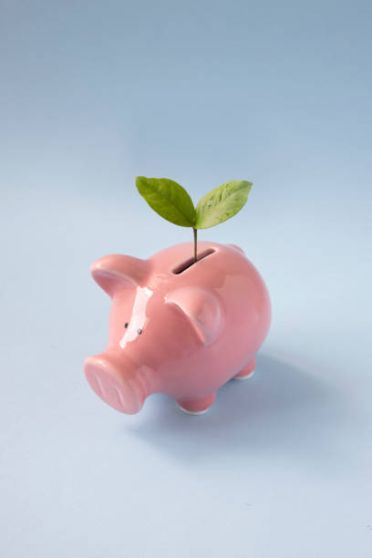 istock Financial growth concepts still life. 1245794927