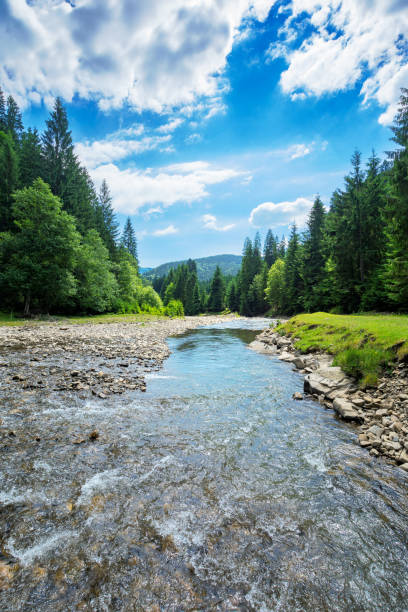 istock river in the mountain landscape 1245811922