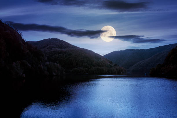 istock tarnita lake in romania at night 1245818977