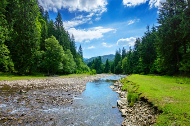 istock river in the mountain landscape 1245821208