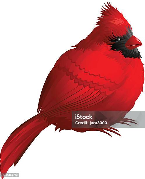 Ilustración de Pájaro Cardenal y más Vectores Libres de Derechos de Animal - Animal, Cardenal norteño, Color - Tipo de imagen