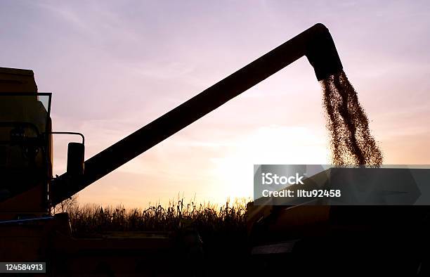 Foto de Colheita Silhueta e mais fotos de stock de Soja - Soja, Indústria, Milho