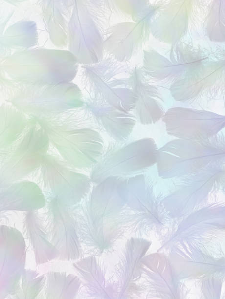 istock Angelic Feather Background Banner 1245849484