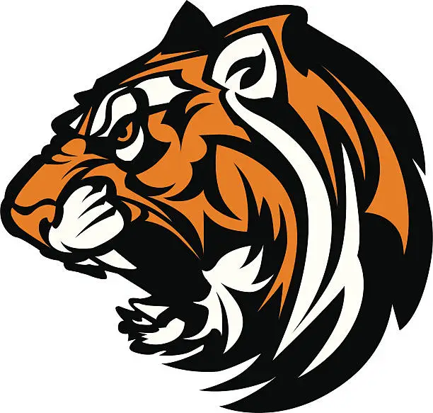 Vector illustration of Tiger Mascot Graphic