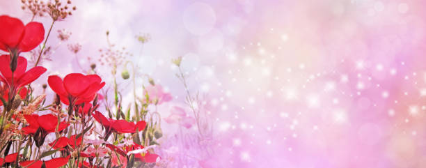 istock Special Occasion red flower sparkle pink wide banner 1245853342