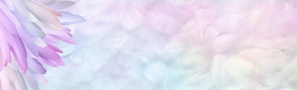 istock Multicoloured pastel Angel Feather Message Banner Background 1245858318