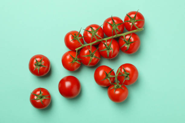 istock Fresh ripe tomatoes on mint background, top view 1245859905