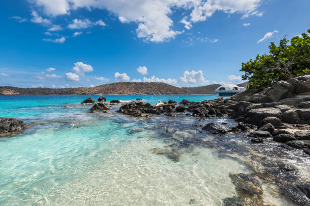 istock Coki Point Beach in St Thomas, USVI, Caribbean 1245863850