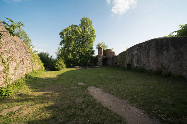 istock historical place in germany 1245869136
