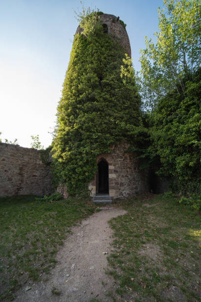 istock historical place in germany 1245869645
