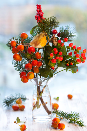 Christmas arrangement of ornamental apples,fir branch and holly in vase