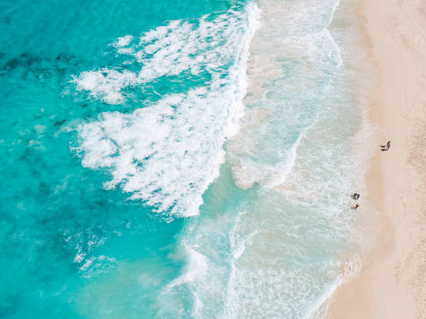 istock High Angle View Of Waves Splashing On Beach 1245891057