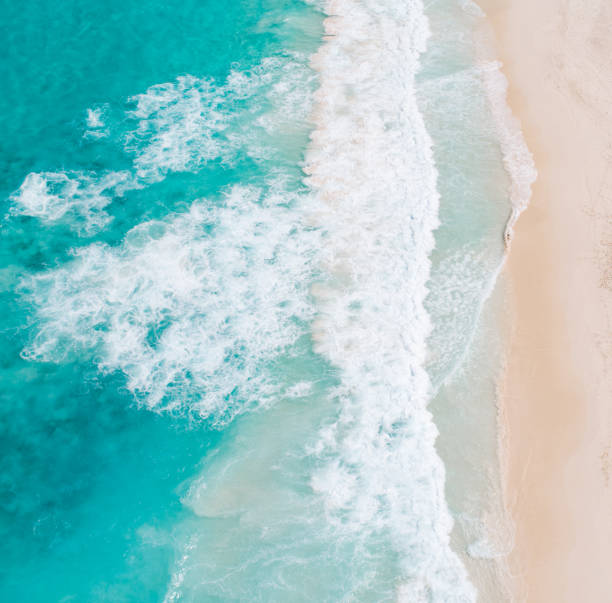 istock High Angle View Of Surf On Beach 1245904942