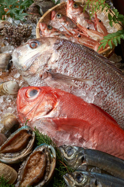 istock Japanese fresh seafood platter 1245908251