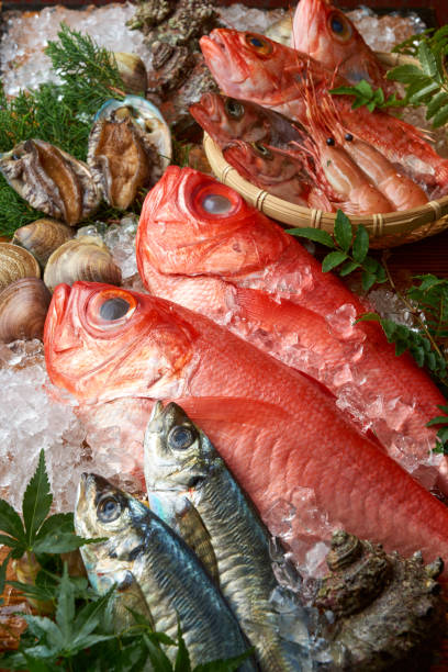 Japanese fresh seafood platter Japanese fresh seafood platter fish market photos stock pictures, royalty-free photos & images