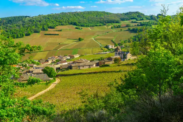 Landscape of vineyards and countryside, viewed from the Rock of Solutre (la roche), in Saone-et-Loire department, Burgundy, France