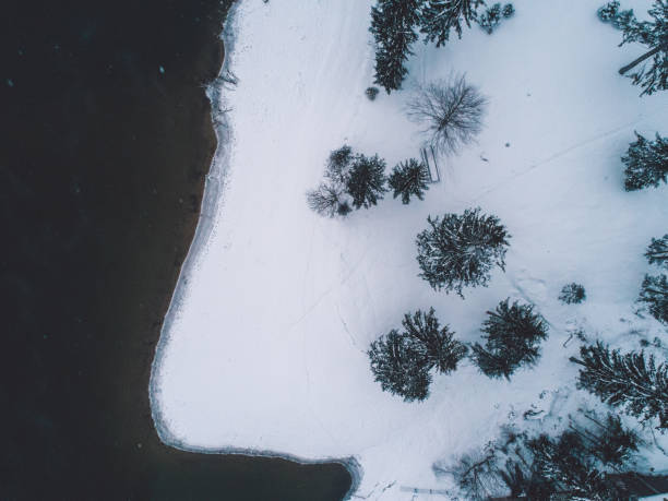 istock High Angle View Of Frozen Trees On Snow Covered Land 1245914854