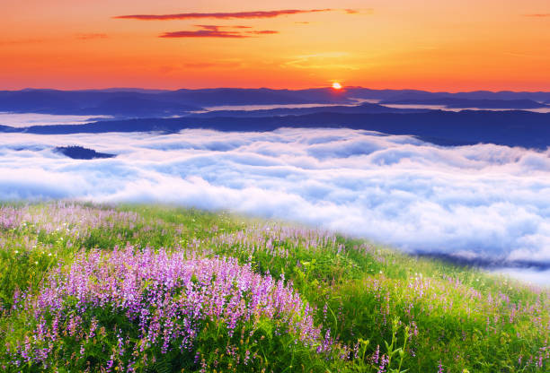 istock Landscape with mountains under morning sky with clouds 1245936108