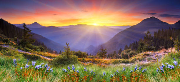 istock Majestic sunset in the mountains landscape. 1245936117