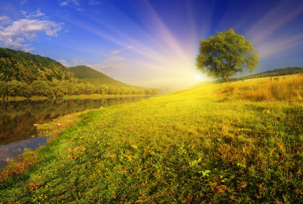 istock Beautiful summer sunset in the river. 1245936790