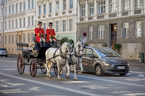 Downtown Copenhagen, Denmark, May 29, 2020: Horses and carriage in a street in Copenhagen, the horses coming from the Royal Staples and are practicing getting used to traffic