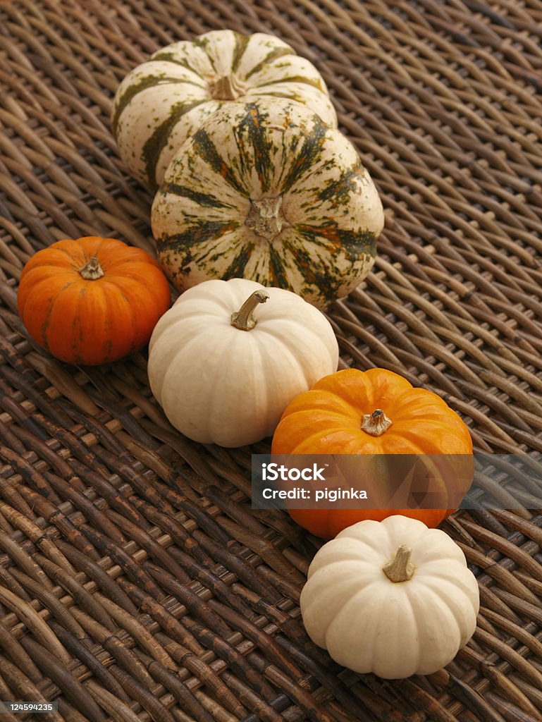 Pumpkins in a row Colorful pumpkins on the table. Agriculture Stock Photo