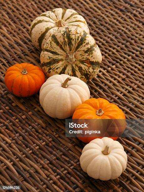 Pumpkins In A Row Stock Photo - Download Image Now - Agriculture, Autumn, Backgrounds