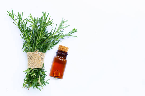 istock Essential oil with fresh rosemary leaves on white background. 1245946207