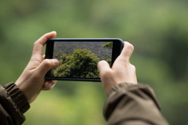 istock Hiker hands taking picture with mobile phone in spring nature 1245946261