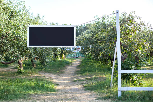 istock Blackboard with white frame hanging on tree branch in garden, copy space. Plate for text on rope. Blank black desk billboard. Nature park and empty chalkboard in summer day. Harvest. Apple trees. 1245954527