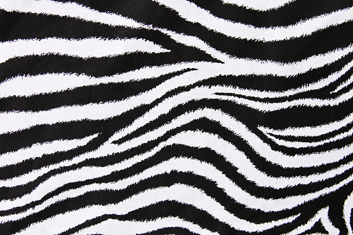 a zebra print background.