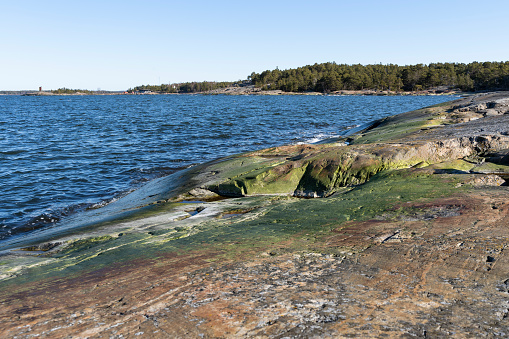 Baltic Sea shore view in the southern coast of Finland