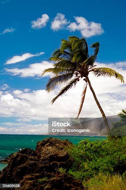 Maui Küste Stockfoto und mehr Bilder von Baum - Baum, Blau, Farbbild