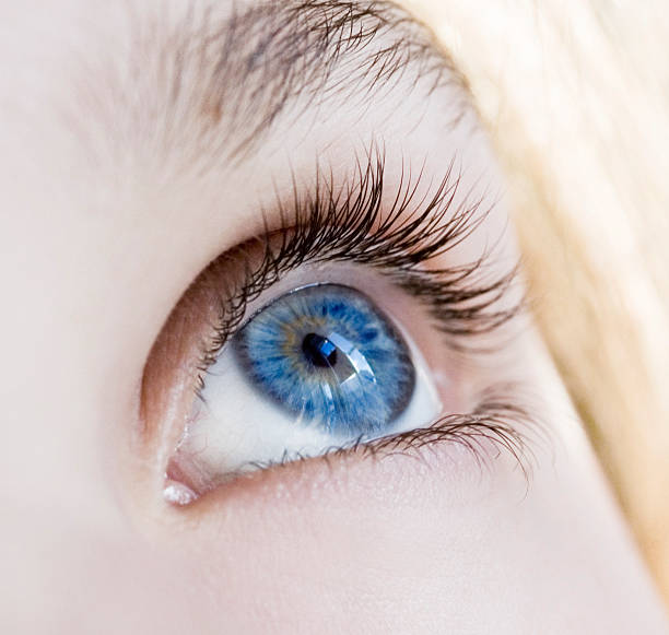 mulher olhos azuis - human eye eyesight women creativity imagens e fotografias de stock