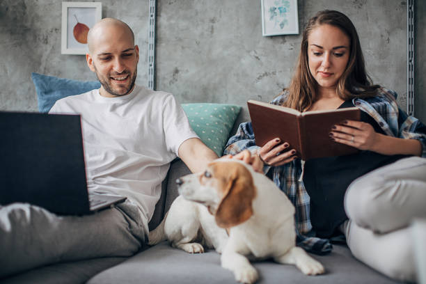 istock Young man working in relaxing atmosphere with his girlfriend and beagle dog 1246010289