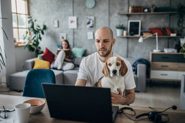 istock Young man working from home in a relaxing environment 1246010316